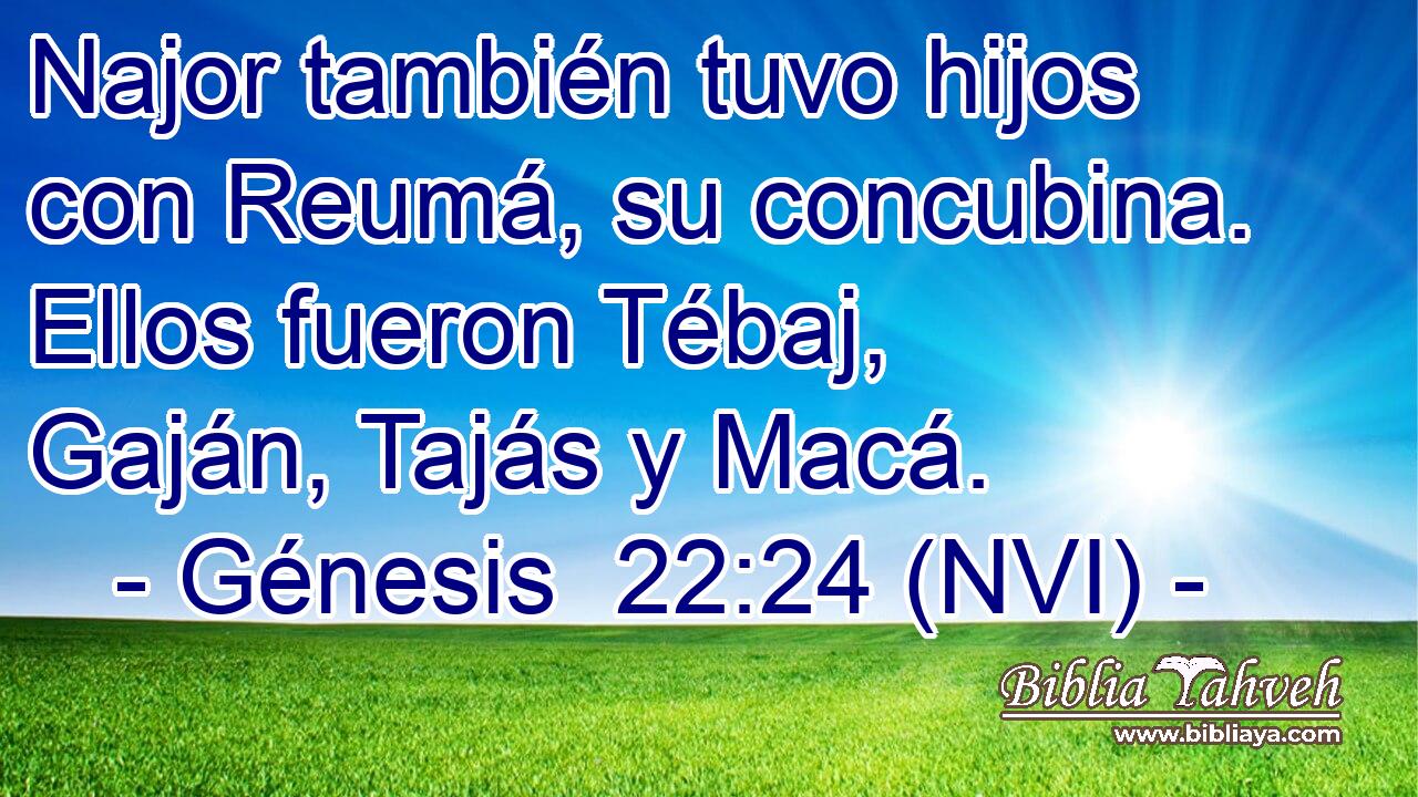  Najor también tuvo hijos con Reumá, su concubina. Ellos fueron Tébaj, Gaján, Tajás y Macá. 