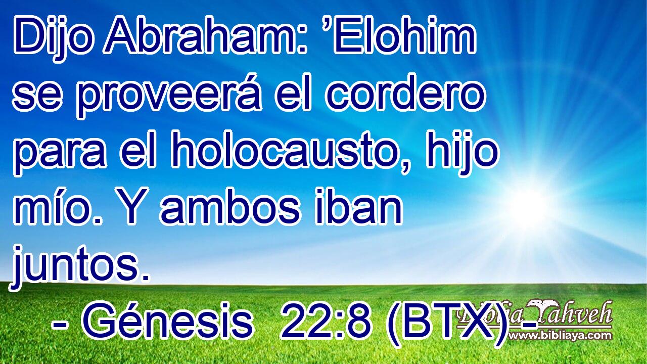 Dijo Abraham: ’Elohim se proveerá el cordero para el holocausto, hijo mío. Y ambos iban juntos.