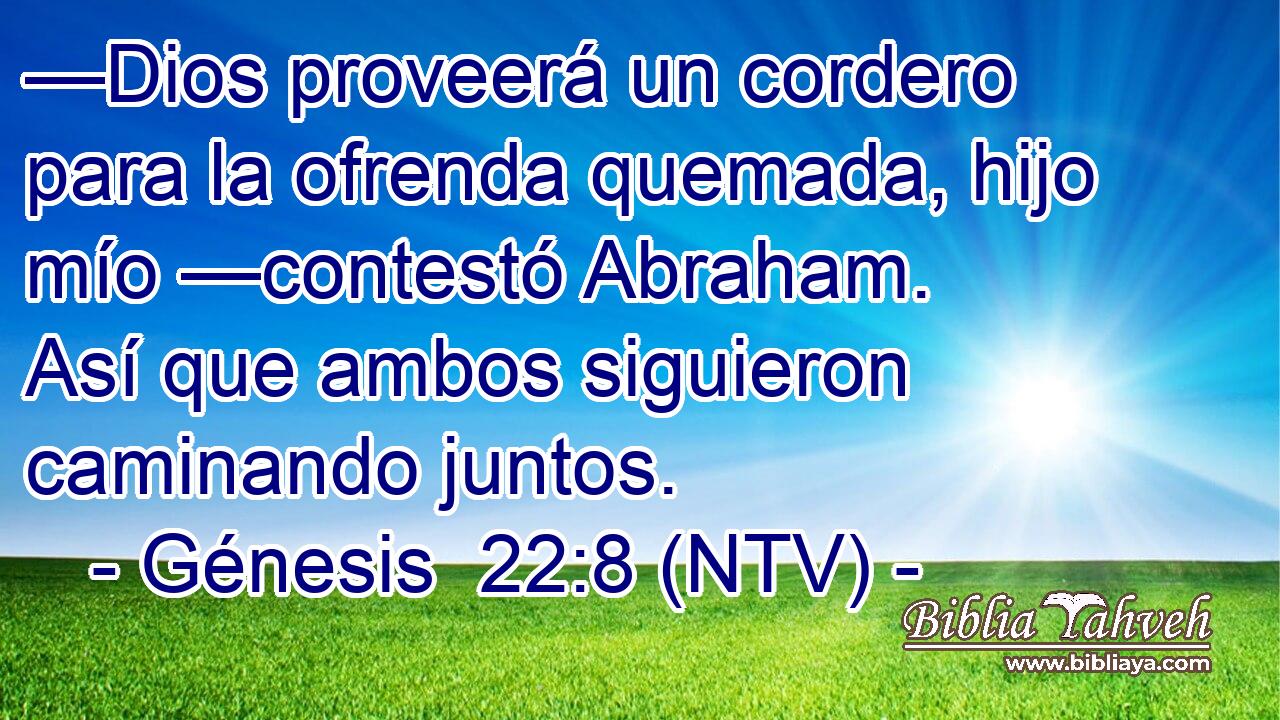 —Dios proveerá un cordero para la ofrenda quemada, hijo mío —contestó Abraham. Así que ambos siguieron caminando juntos.