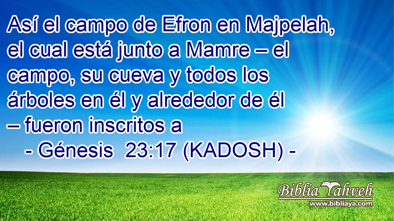  Así el campo de Efron en Majpelah, el cual está junto a Mamre – el campo, su cueva y todos los árboles en él y alrededor de él – fueron inscritos a 
