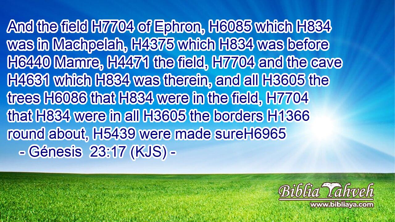 And the field H7704 of Ephron, H6085 which H834 was in Machpelah, H4375 which H834 was before H6440 Mamre, H4471 the field, H7704 and the cave H4631 which H834 was therein, and all H3605 the trees H6086 that H834 were in the field, H7704 that H834 were in all H3605 the borders H1366 round about, H5439 were made sureH6965