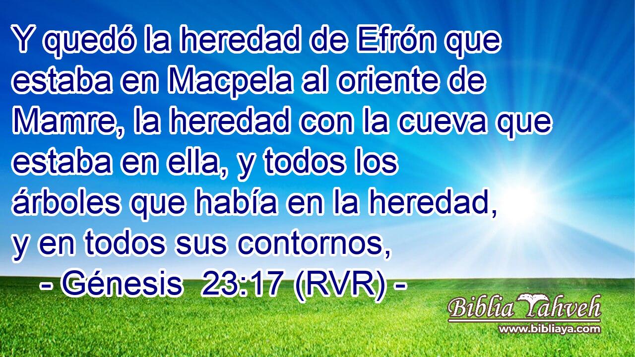 Y quedó la heredad de Efrón que estaba en Macpela al oriente de Mamre, la heredad con la cueva que estaba en ella, y todos los árboles que había en la heredad, y en todos sus contornos,