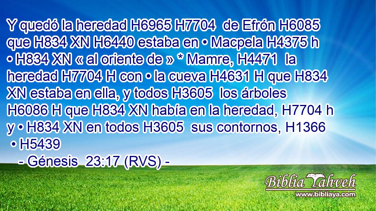 Y quedó la heredad H6965 H7704  de Efrón H6085  que H834 XN H6440 estaba en • Macpela H4375 h • H834 XN « al oriente de » * Mamre, H4471  la heredad H7704 H con • la cueva H4631 H que H834 XN estaba en ella, y todos H3605  los árboles H6086 H que H834 XN había en la heredad, H7704 h y • H834 XN en todos H3605  sus contornos, H1366  • H5439  