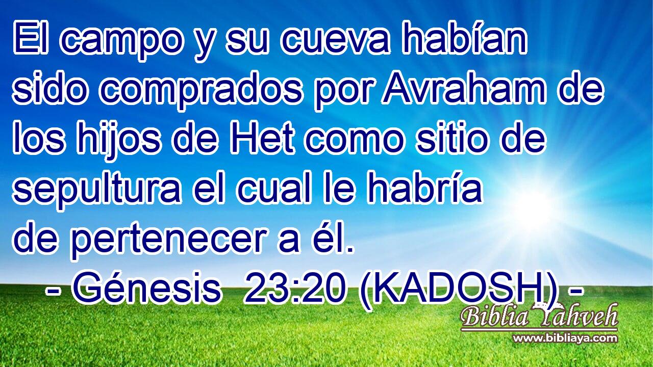  El campo y su cueva habían sido comprados por Avraham de los hijos de Het como sitio de sepultura el cual le habría de pertenecer a él. 