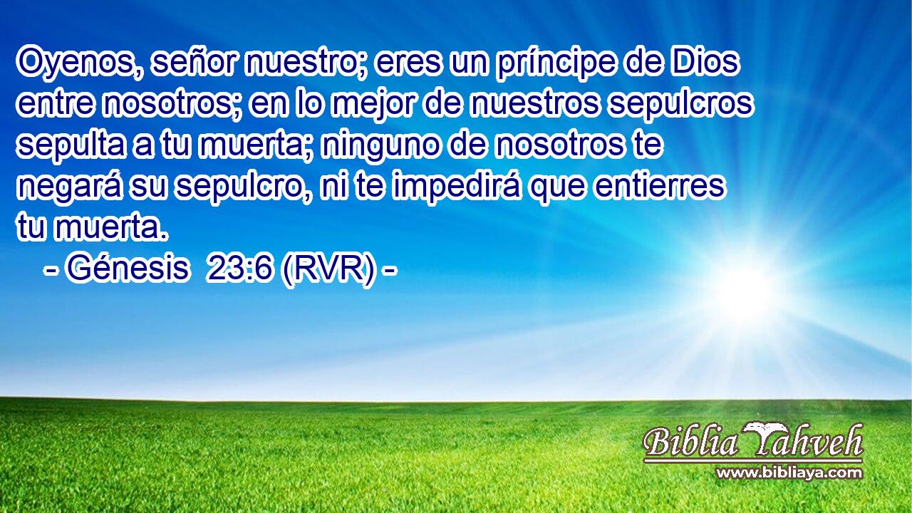 Oyenos, señor nuestro; eres un príncipe de Dios entre nosotros; en lo mejor de nuestros sepulcros sepulta a tu muerta; ninguno de nosotros te negará su sepulcro, ni te impedirá que entierres tu muerta.