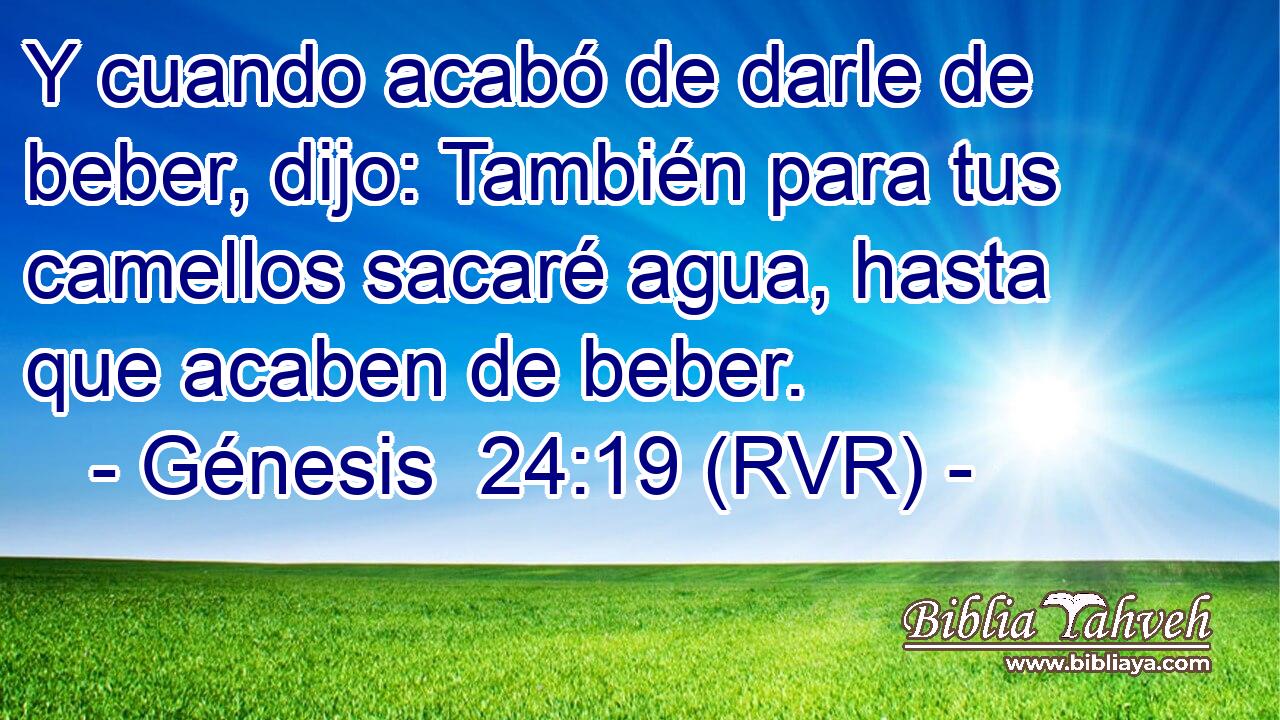 Y cuando acabó de darle de beber, dijo: También para tus camellos sacaré agua, hasta que acaben de beber.