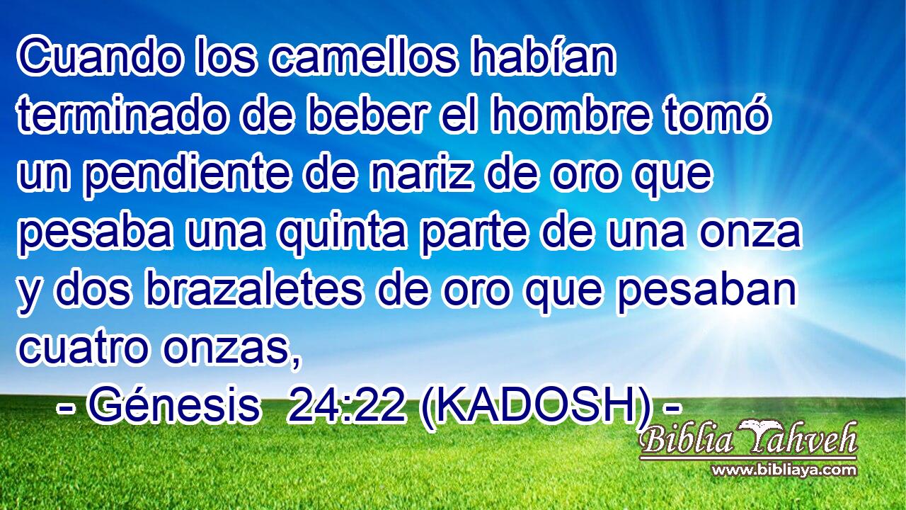  Cuando los camellos habían terminado de beber el hombre tomó un pendiente de nariz de oro que pesaba una quinta parte de una onza y dos brazaletes de oro que pesaban cuatro onzas, 