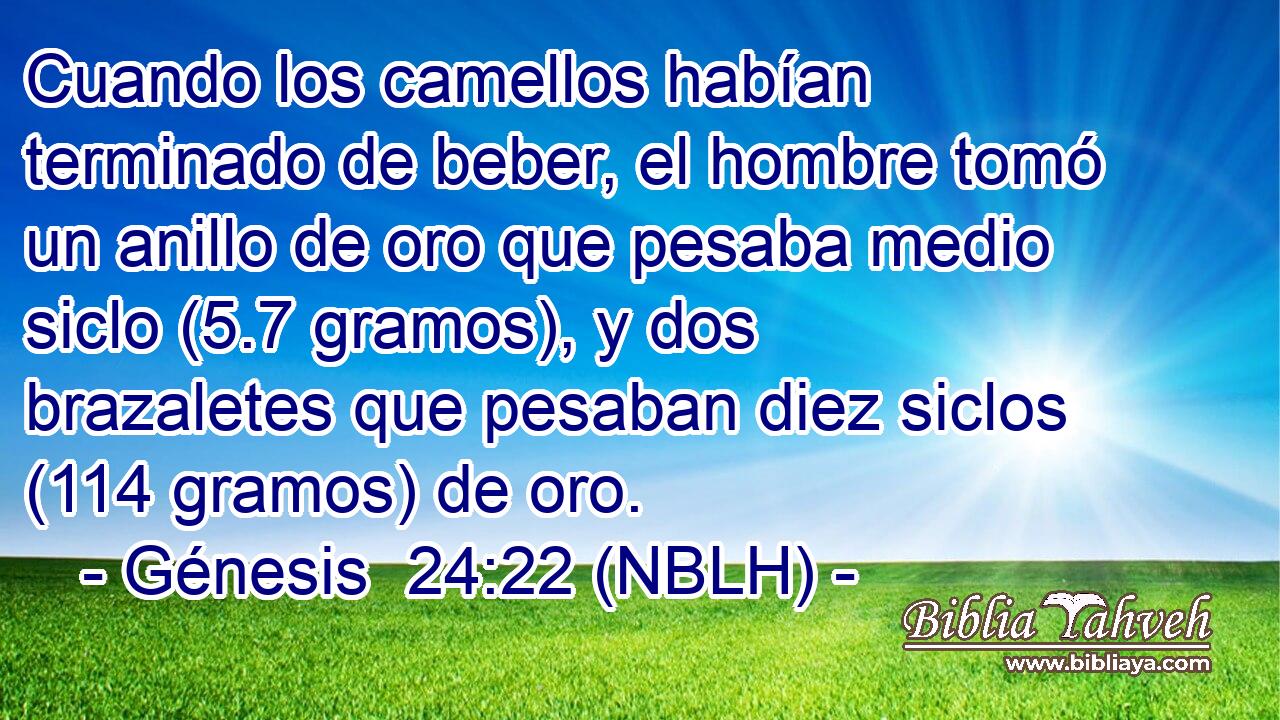  Cuando los camellos habían terminado de beber, el hombre tomó un anillo de oro que pesaba medio siclo (5.7 gramos), y dos brazaletes que pesaban diez siclos (114 gramos) de oro. 