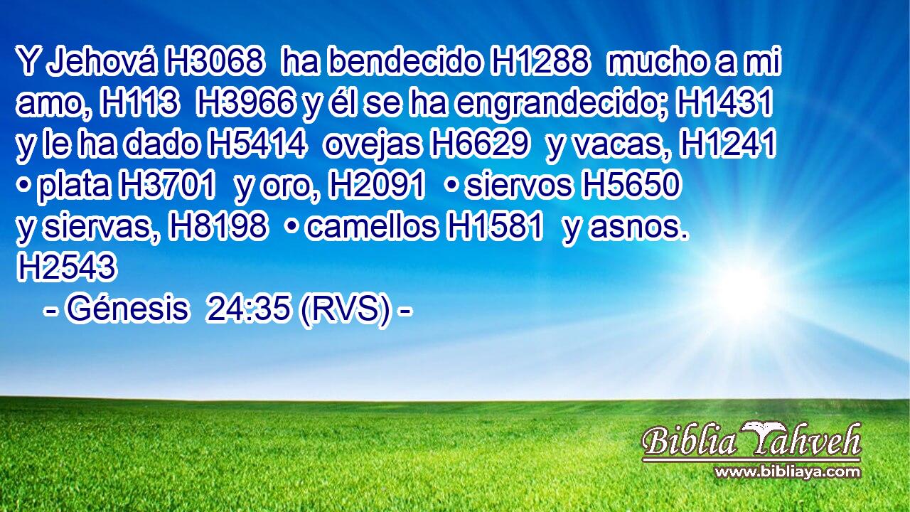 Y Jehová H3068  ha bendecido H1288  mucho a mi amo, H113  H3966 y él se ha engrandecido; H1431  y le ha dado H5414  ovejas H6629  y vacas, H1241  • plata H3701  y oro, H2091  • siervos H5650  y siervas, H8198  • camellos H1581  y asnos. H2543  