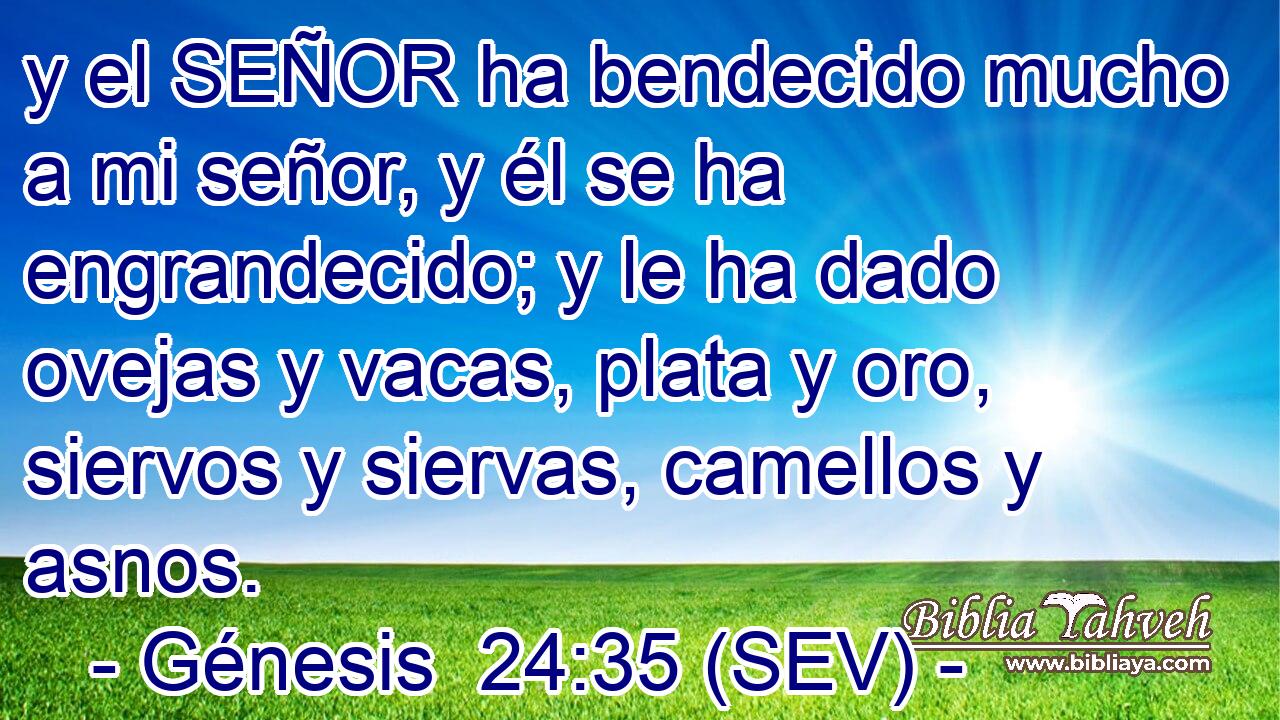 y el SEÑOR ha bendecido mucho a mi señor, y él se ha engrandecido; y le ha dado ovejas y vacas, plata y oro, siervos y siervas, camellos y asnos.