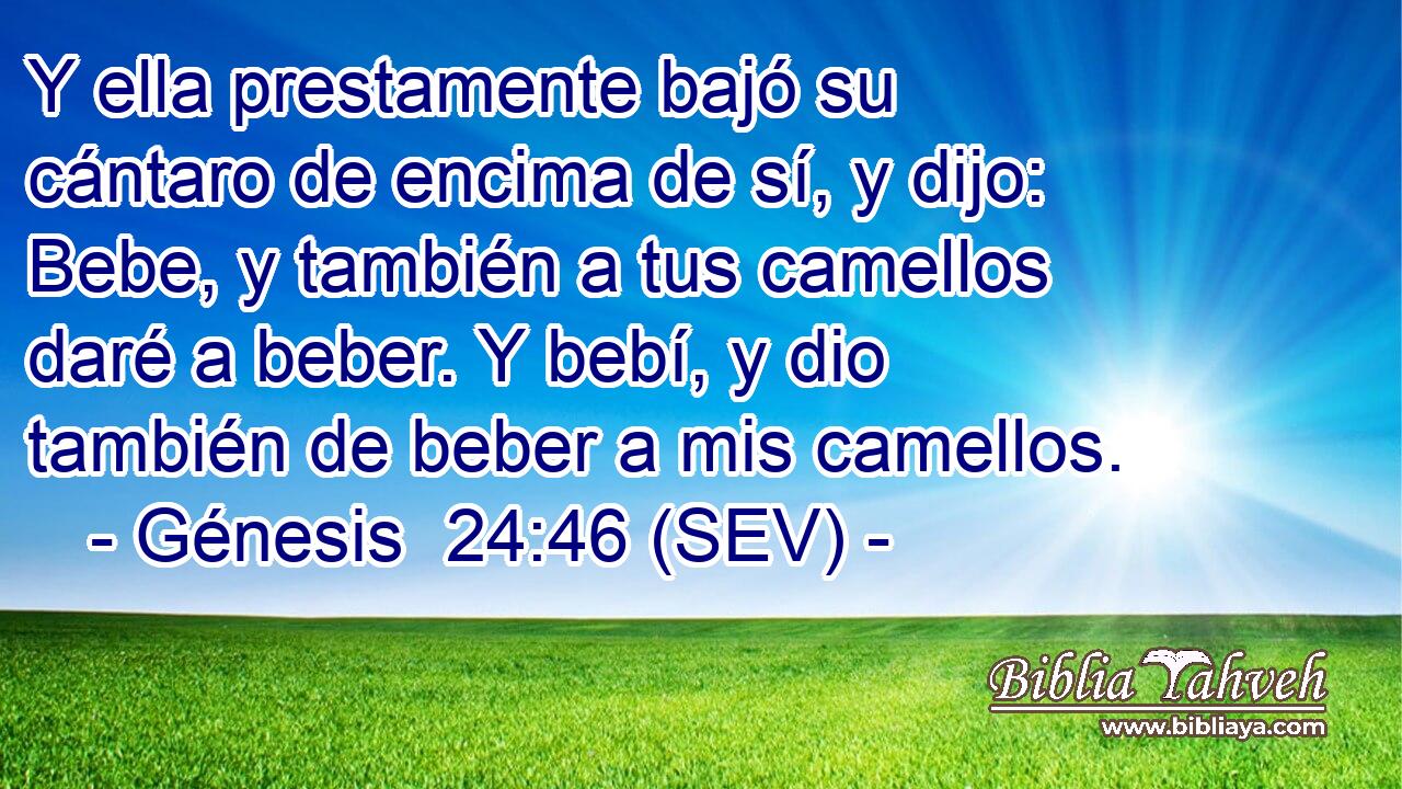 Y ella prestamente bajó su cántaro de encima de sí, y dijo: Bebe, y también a tus camellos daré a beber. Y bebí, y dio también de beber a mis camellos.