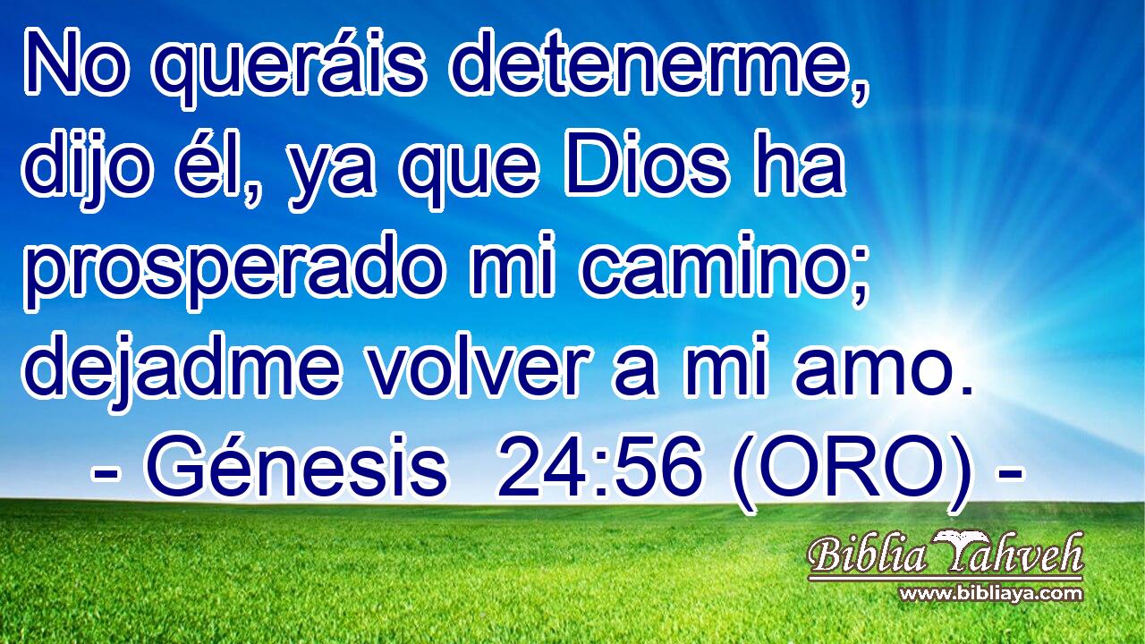  No queráis detenerme, dijo él, ya que Dios ha prosperado mi camino; dejadme volver a mi amo. 