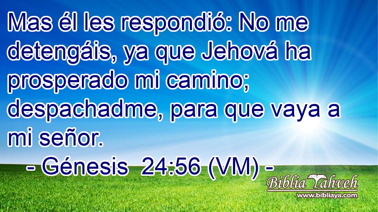  Mas él les respondió: No me detengáis, ya que Jehová ha prosperado mi camino; despachadme, para que vaya a mi señor. 