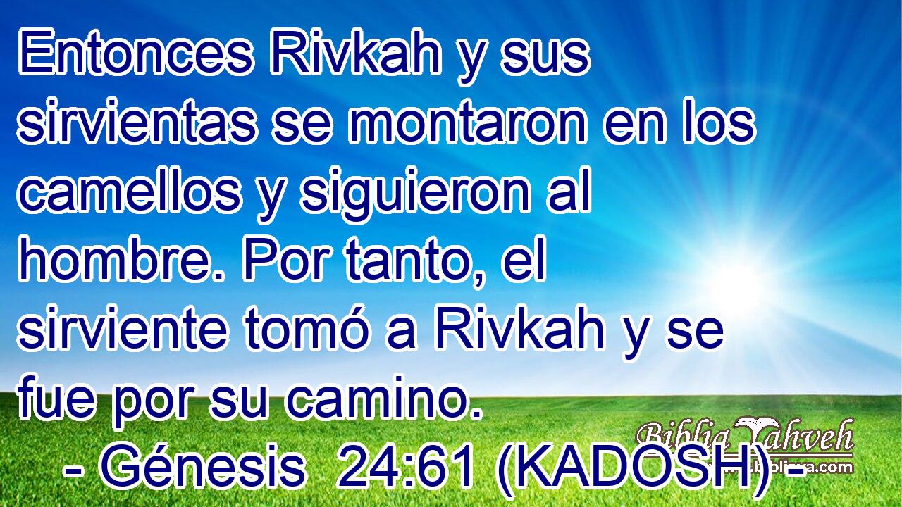  Entonces Rivkah y sus sirvientas se montaron en los camellos y siguieron al hombre. Por tanto, el sirviente tomó a Rivkah y se fue por su camino. 