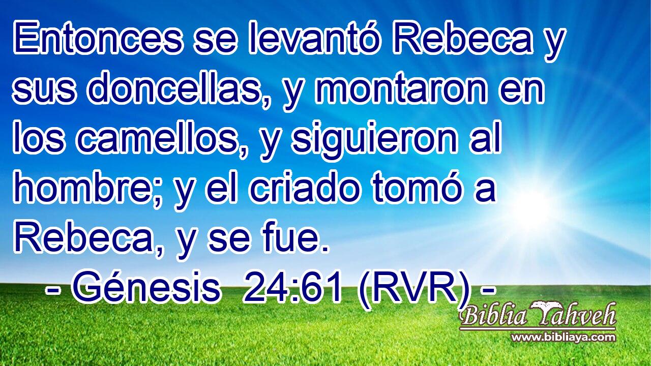 Entonces se levantó Rebeca y sus doncellas, y montaron en los camellos, y siguieron al hombre; y el criado tomó a Rebeca, y se fue.