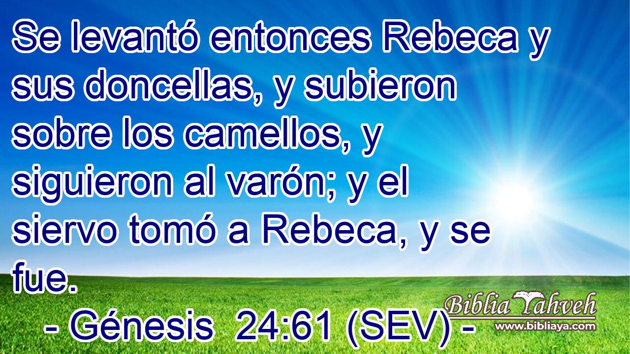 Se levantó entonces Rebeca y sus doncellas, y subieron sobre los camellos, y siguieron al varón; y el siervo tomó a Rebeca, y se fue.