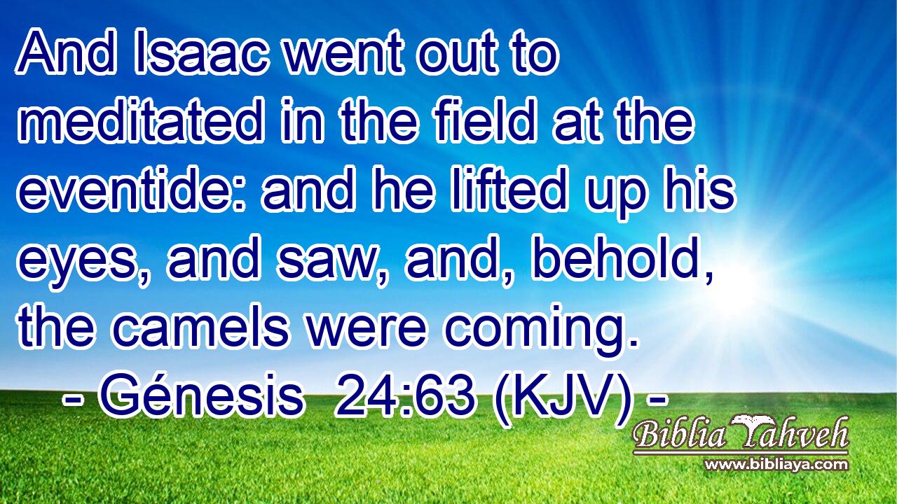 And Isaac went out to meditated in the field at the eventide: and he lifted up his eyes, and saw, and, behold, the camels were coming.