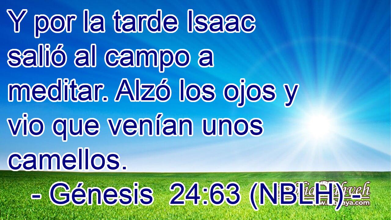  Y por la tarde Isaac salió al campo a meditar. Alzó los ojos y vio que venían unos camellos. 