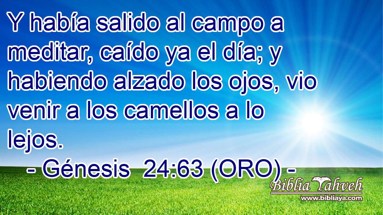  Y había salido al campo a meditar, caído ya el día; y habiendo alzado los ojos, vio venir a los camellos a lo lejos. 