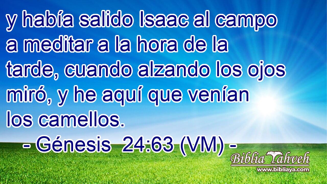  y había salido Isaac al campo a meditar a la hora de la tarde, cuando alzando los ojos miró, y he aquí que venían los camellos. 