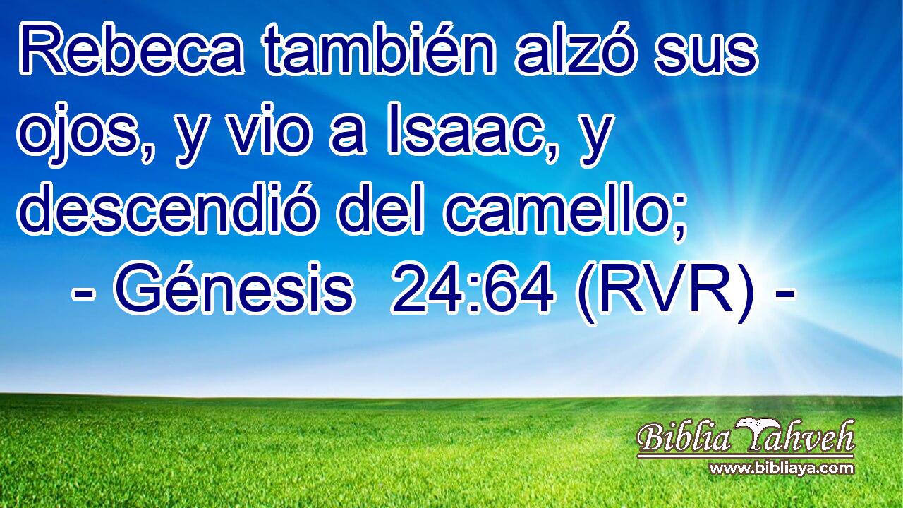 Rebeca también alzó sus ojos, y vio a Isaac, y descendió del camello;
