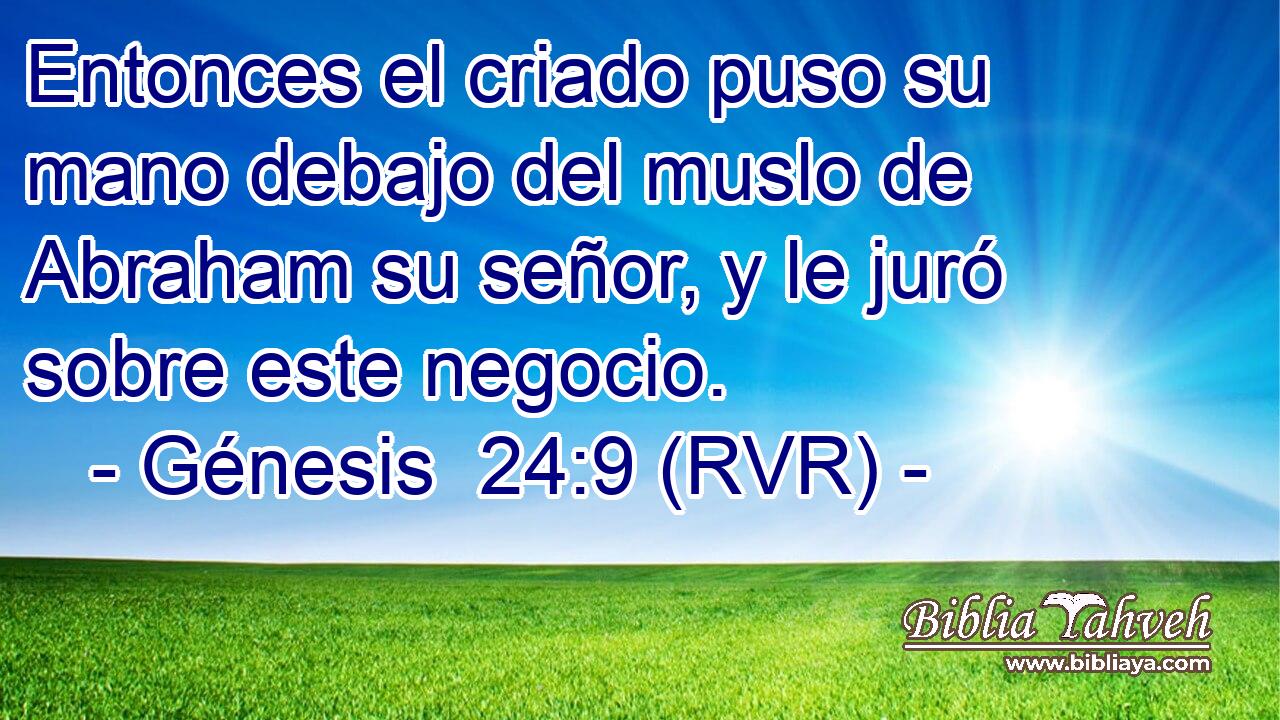 Entonces el criado puso su mano debajo del muslo de Abraham su señor, y le juró sobre este negocio.