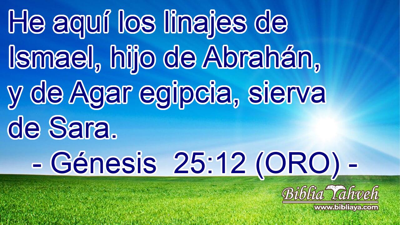  He aquí los linajes de Ismael, hijo de Abrahán, y de Agar egipcia, sierva de Sara. 