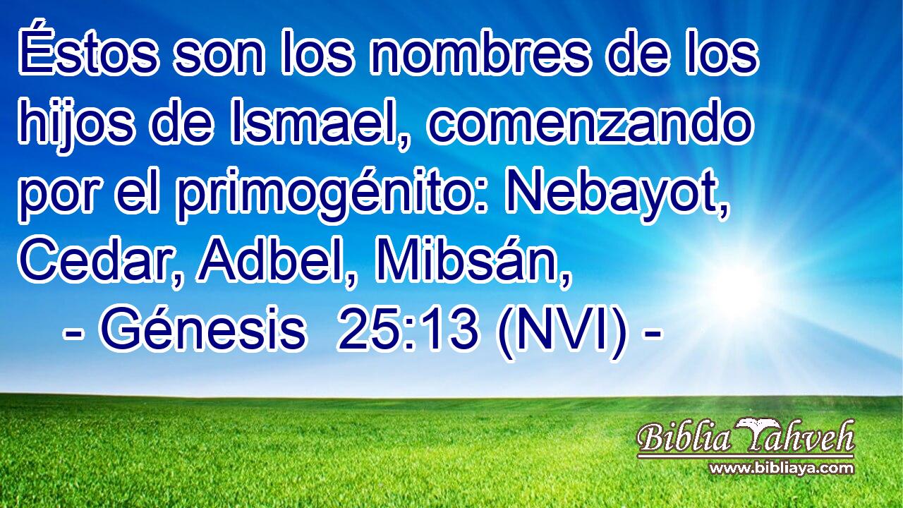  Éstos son los nombres de los hijos de Ismael, comenzando por el primogénito: Nebayot, Cedar, Adbel, Mibsán, 