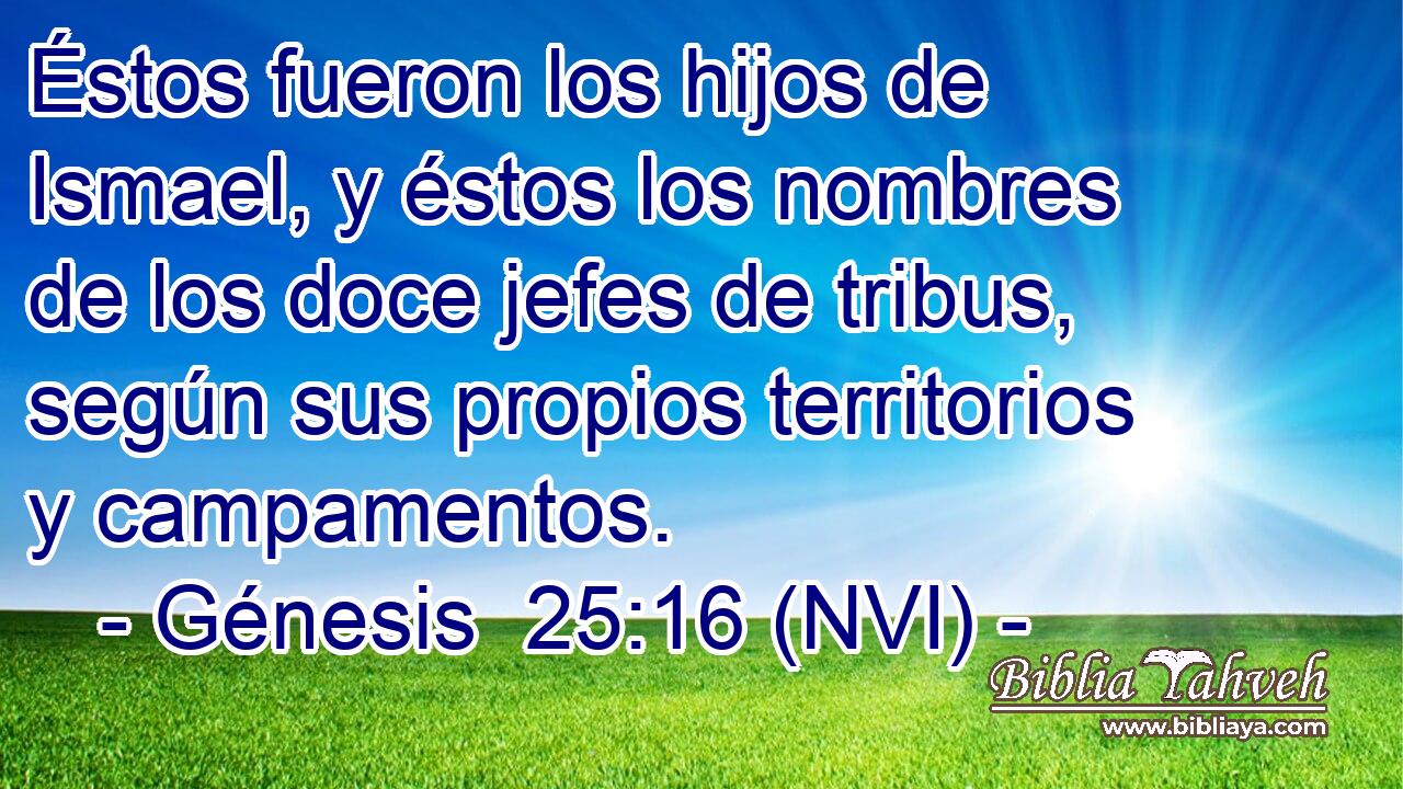  Éstos fueron los hijos de Ismael, y éstos los nombres de los doce jefes de tribus, según sus propios territorios y campamentos. 