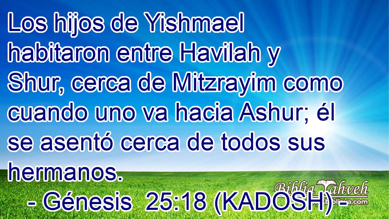  Los hijos de Yishmael habitaron entre Havilah y Shur, cerca de Mitzrayim como cuando uno va hacia Ashur; él se asentó cerca de todos sus hermanos. 