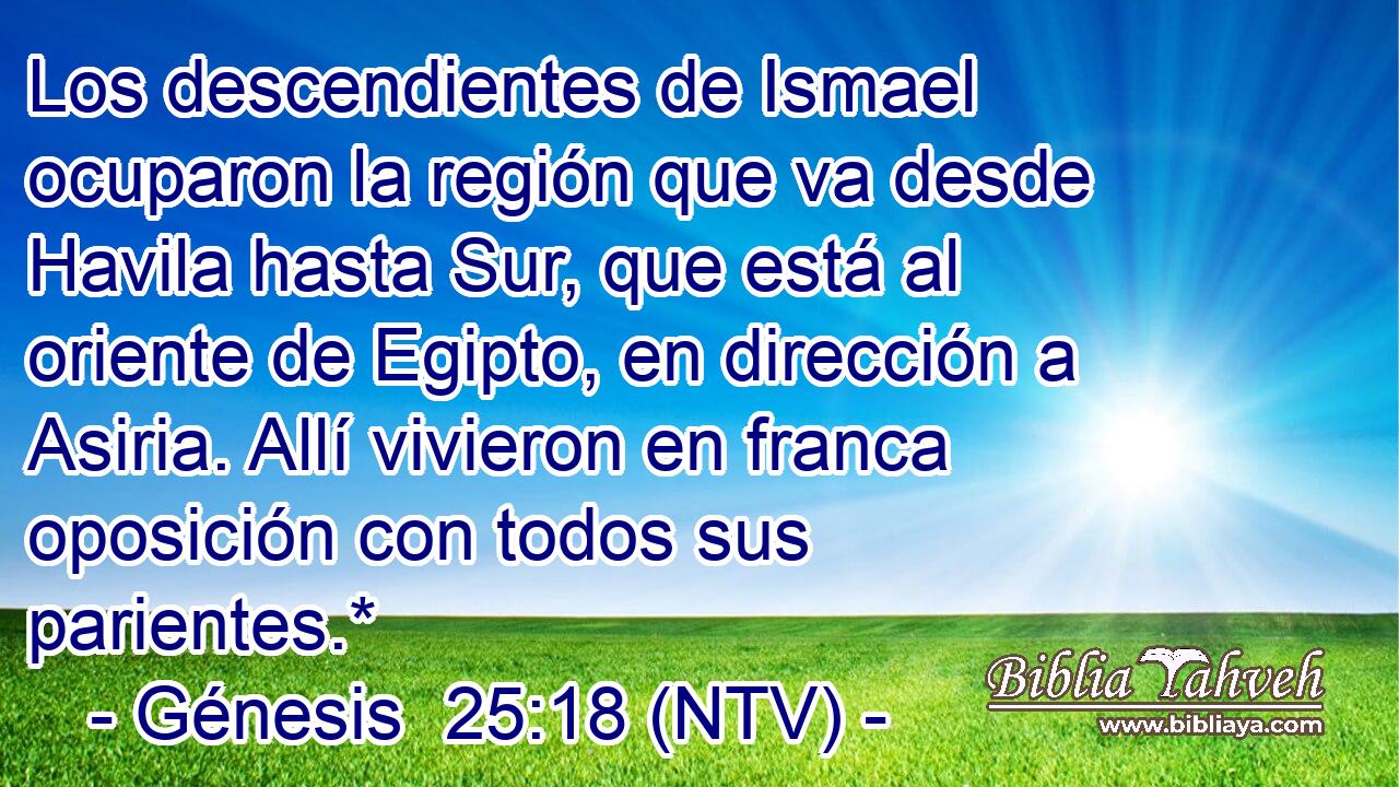 Los descendientes de Ismael ocuparon la región que va desde Havila hasta Sur, que está al oriente de Egipto, en dirección a Asiria. Allí vivieron en franca oposición con todos sus parientes.*