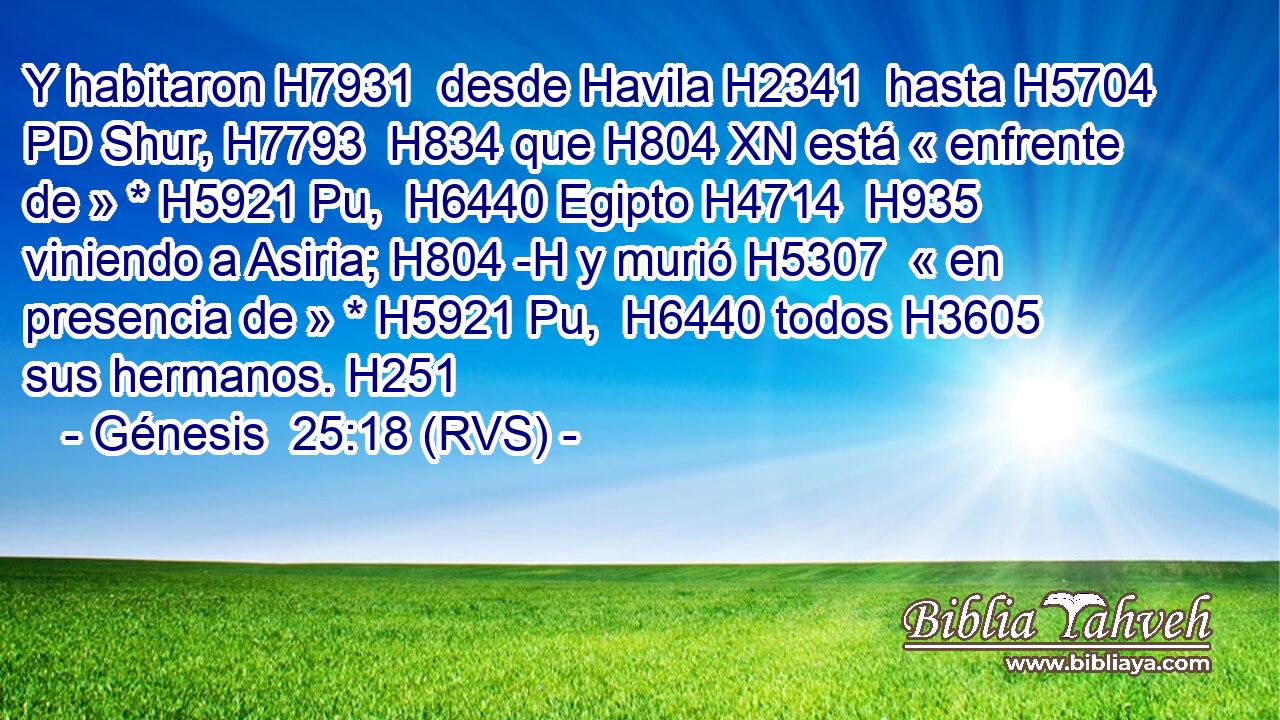 Y habitaron H7931  desde Havila H2341  hasta H5704 PD Shur, H7793  H834 que H804 XN está « enfrente de » * H5921 Pu,  H6440 Egipto H4714  H935 viniendo a Asiria; H804 -H y murió H5307  « en presencia de » * H5921 Pu,  H6440 todos H3605  sus hermanos. H251  