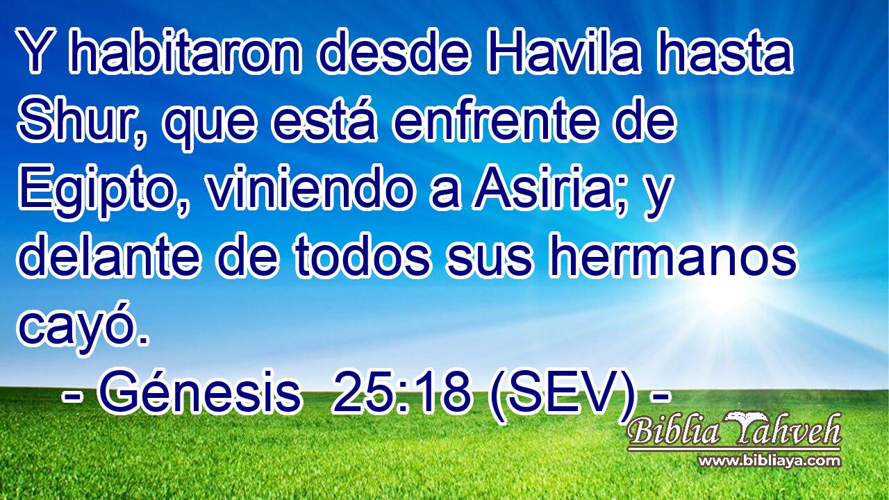 Y habitaron desde Havila hasta Shur, que está enfrente de Egipto, viniendo a Asiria; y delante de todos sus hermanos cayó.