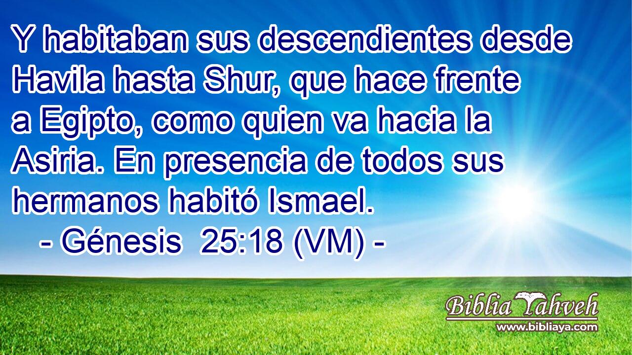  Y habitaban sus descendientes desde Havila hasta Shur, que hace frente a Egipto, como quien va hacia la Asiria. En presencia de todos sus hermanos habitó Ismael. 
