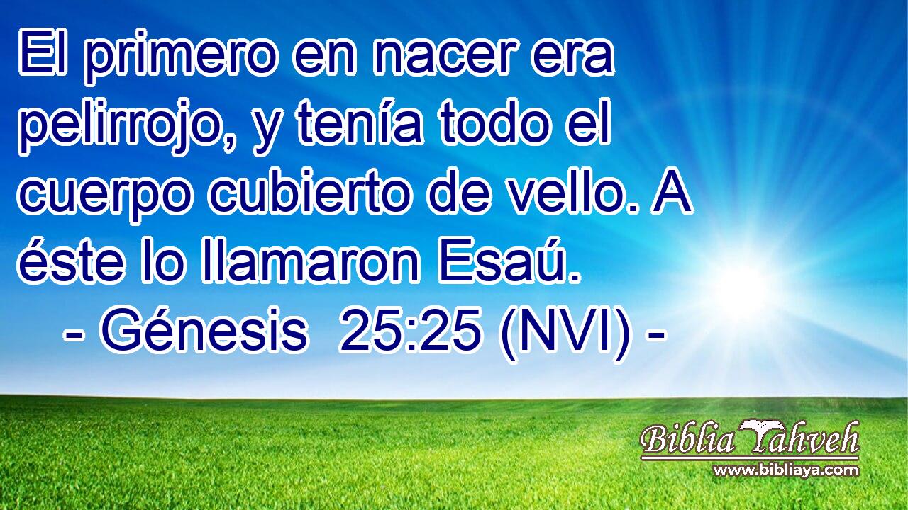  El primero en nacer era pelirrojo, y tenía todo el cuerpo cubierto de vello. A éste lo llamaron Esaú. 