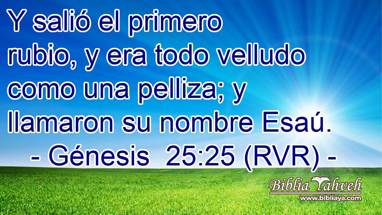 Y salió el primero rubio, y era todo velludo como una pelliza; y llamaron su nombre Esaú.
