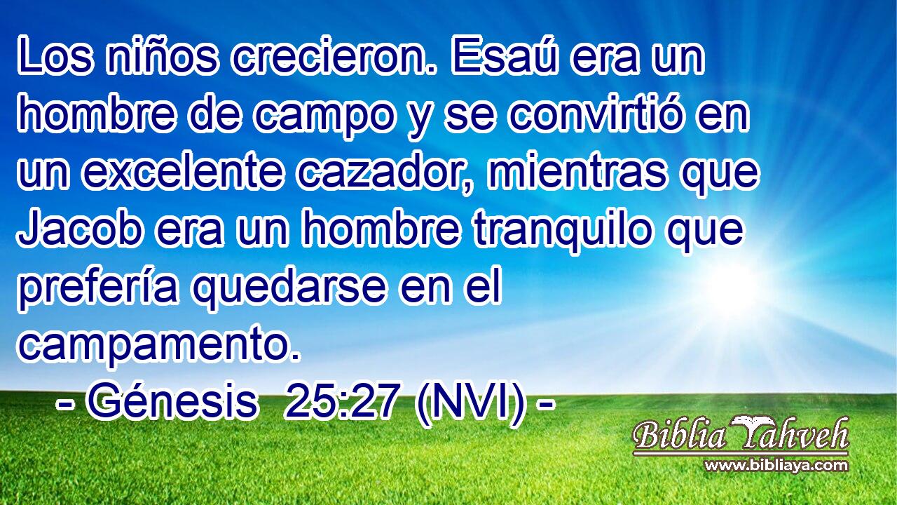  Los niños crecieron. Esaú era un hombre de campo y se convirtió en un excelente cazador, mientras que Jacob era un hombre tranquilo que prefería quedarse en el campamento. 