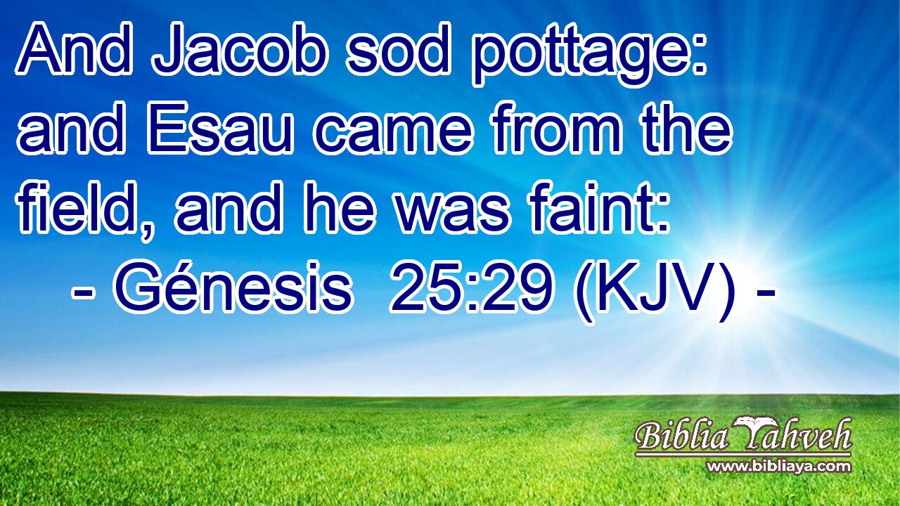 And Jacob sod pottage: and Esau came from the field, and he was faint: