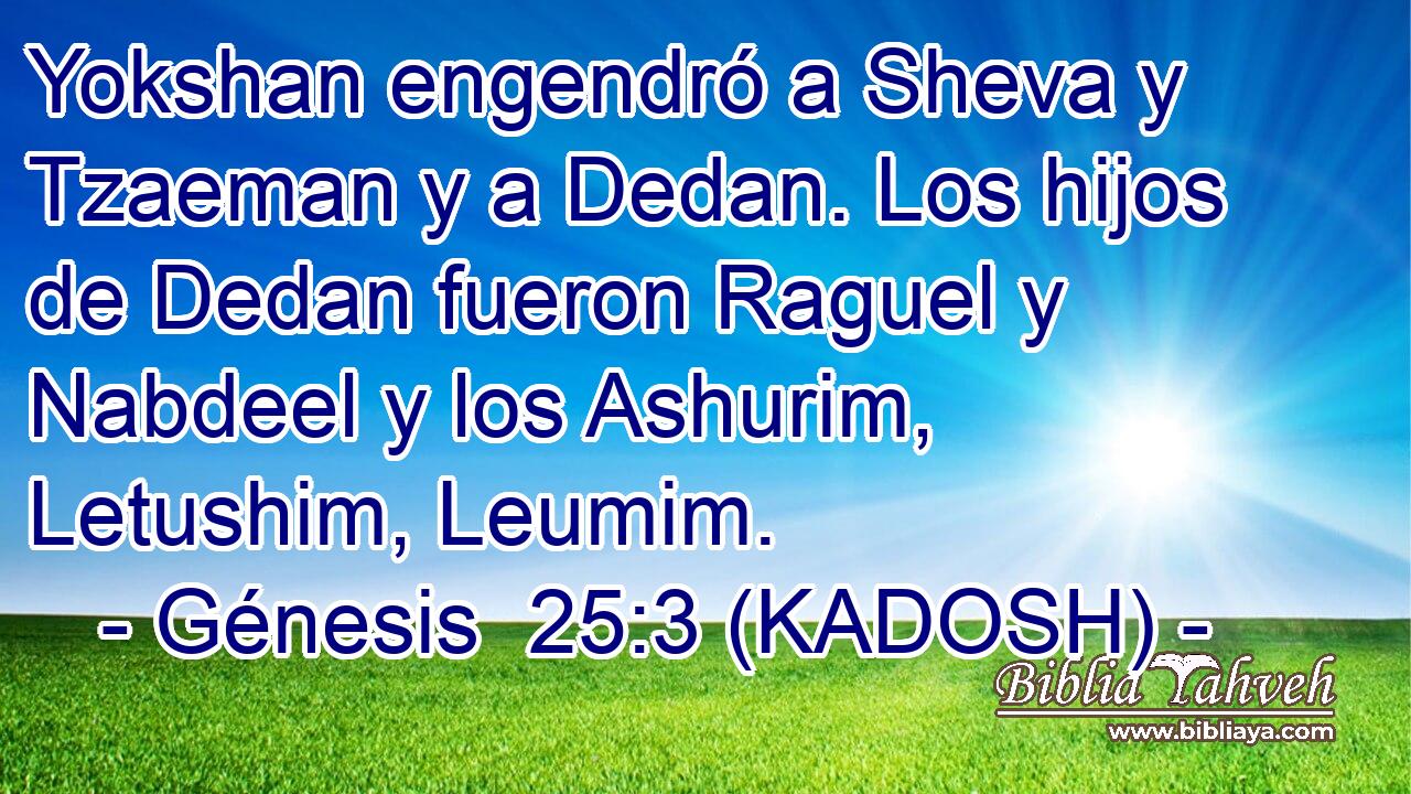  Yokshan engendró a Sheva y Tzaeman y a Dedan. Los hijos de Dedan fueron Raguel y Nabdeel y los Ashurim, Letushim, Leumim. 