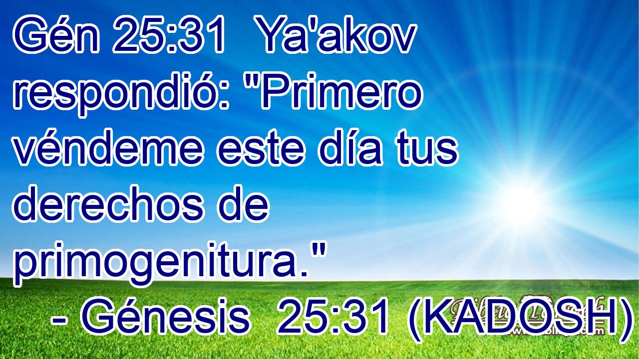  Ya'akov respondió: 