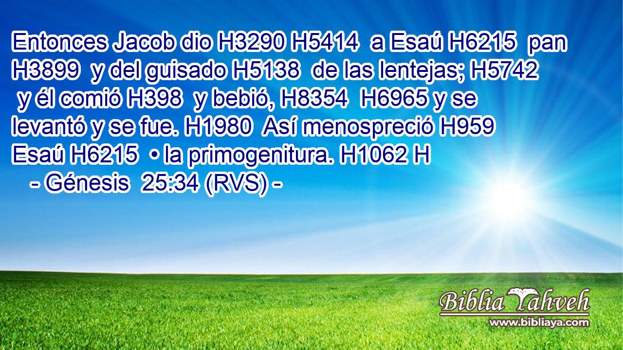 Entonces Jacob dio H3290 H5414  a Esaú H6215  pan H3899  y del guisado H5138  de las lentejas; H5742  y él comió H398  y bebió, H8354  H6965 y se levantó y se fue. H1980  Así menospreció H959  Esaú H6215  • la primogenitura. H1062 H 