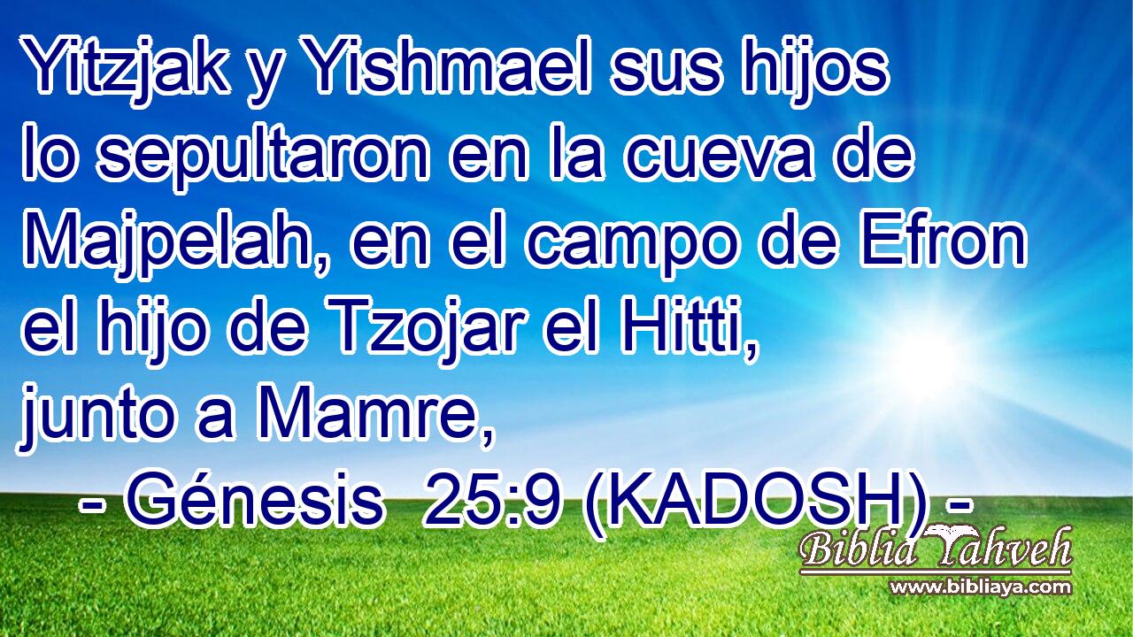  Yitzjak y Yishmael sus hijos lo sepultaron en la cueva de Majpelah, en el campo de Efron el hijo de Tzojar el Hitti, junto a Mamre, 