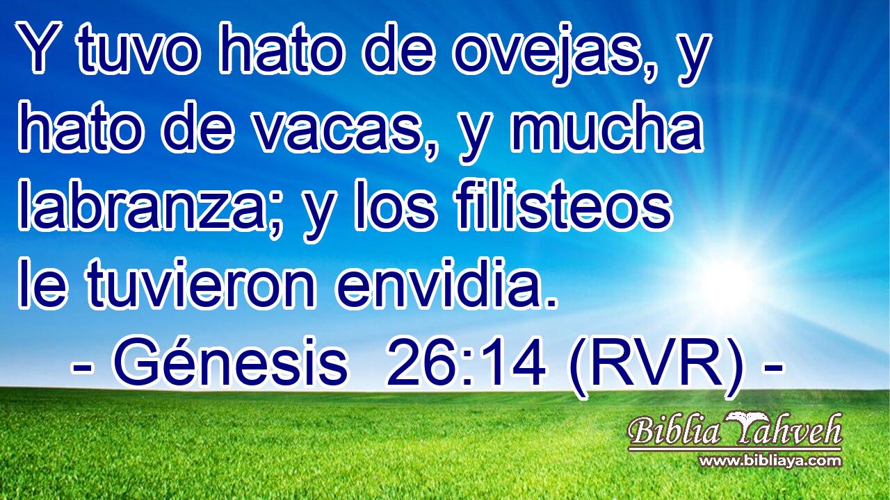 Y tuvo hato de ovejas, y hato de vacas, y mucha labranza; y los filisteos le tuvieron envidia.