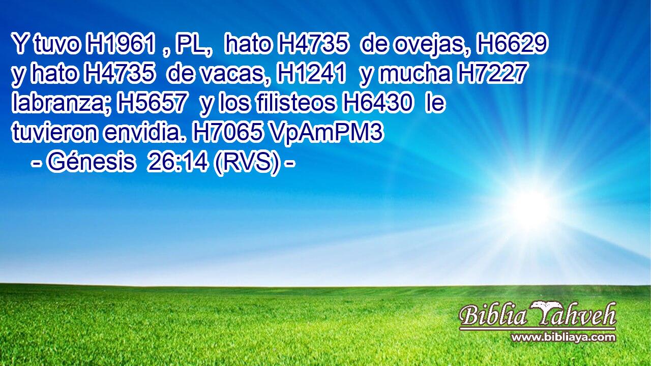 Y tuvo H1961 , PL,  hato H4735  de ovejas, H6629  y hato H4735  de vacas, H1241  y mucha H7227  labranza; H5657  y los filisteos H6430  le tuvieron envidia. H7065 VpAmPM3 