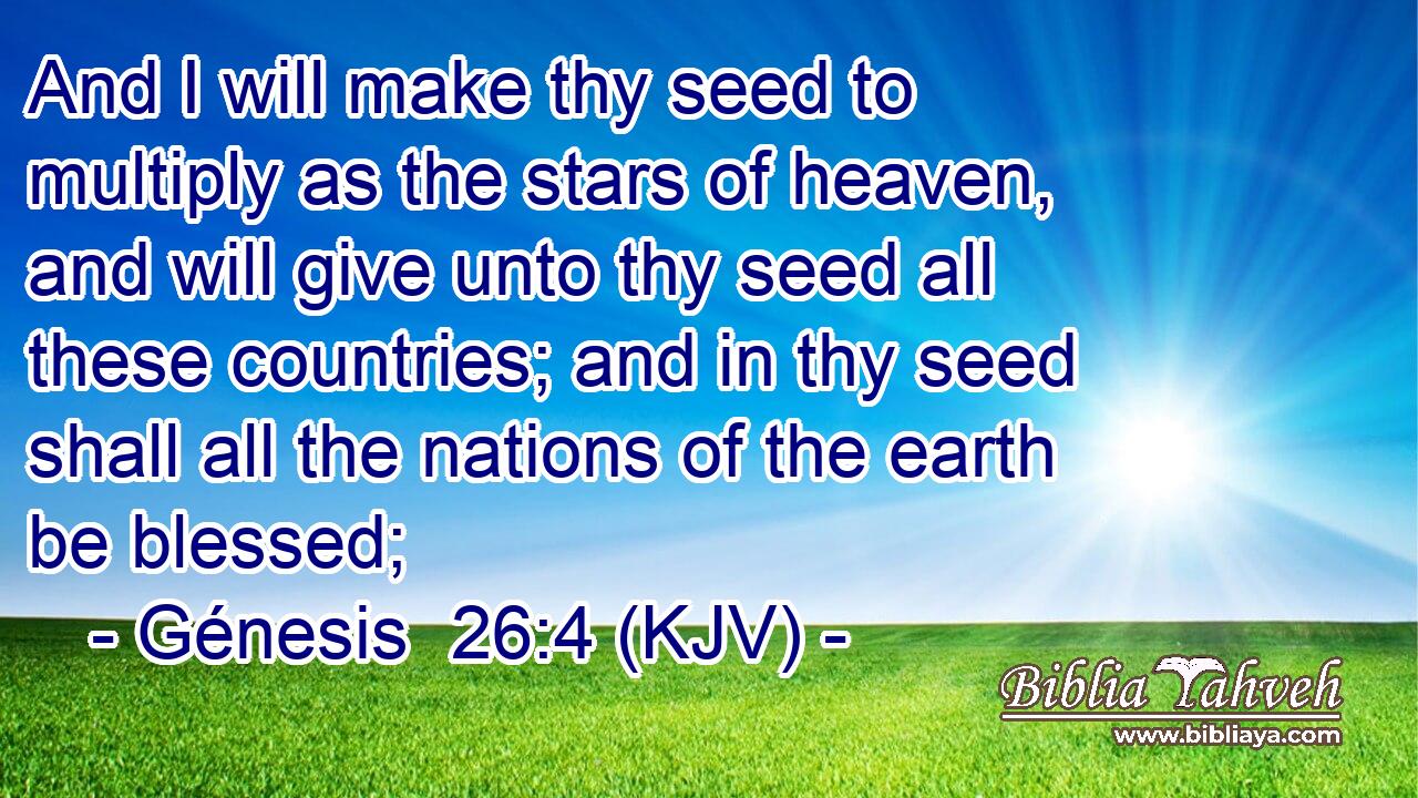 And I will make thy seed to multiply as the stars of heaven, and will give unto thy seed all these countries; and in thy seed shall all the nations of the earth be blessed;