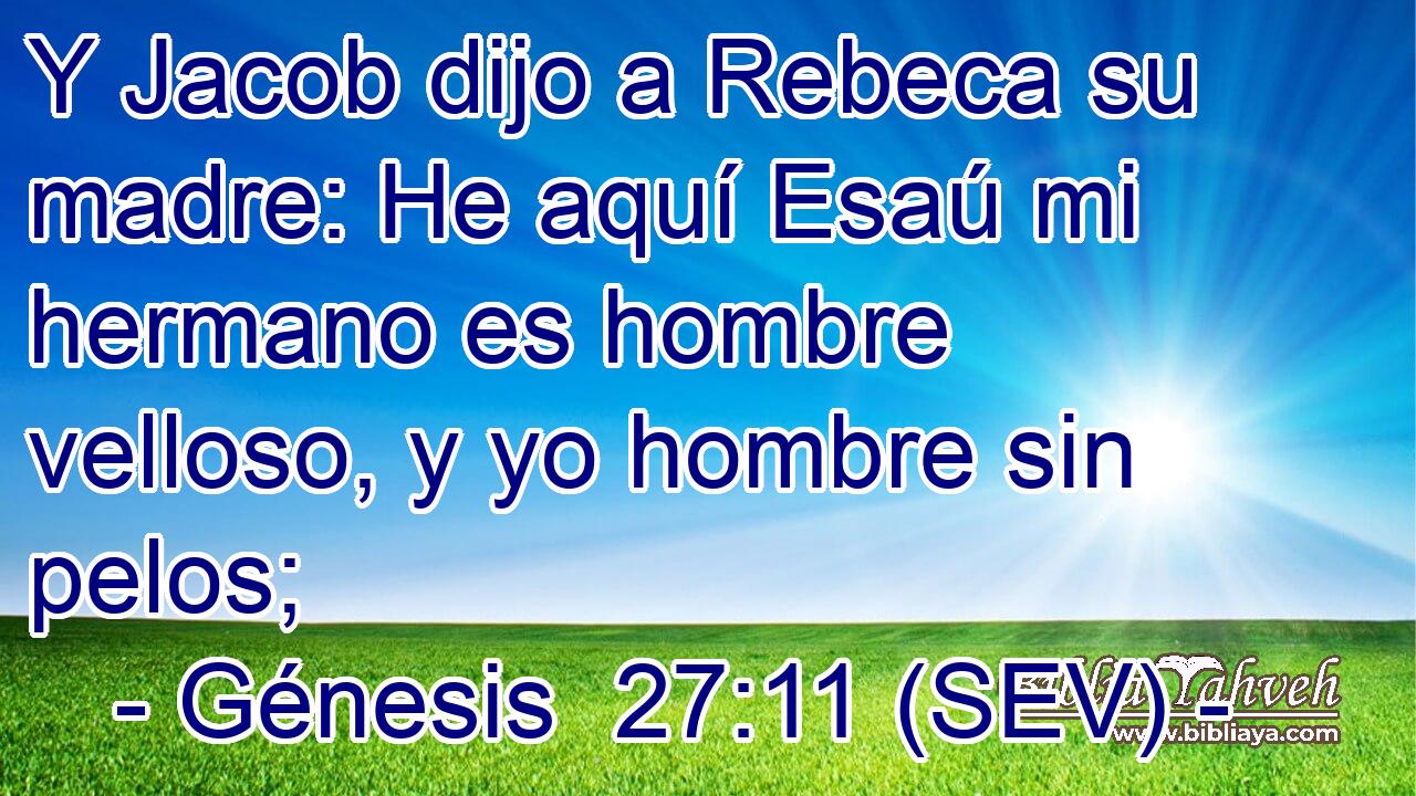 Y Jacob dijo a Rebeca su madre: He aquí Esaú mi hermano es hombre velloso, y yo hombre sin pelos;