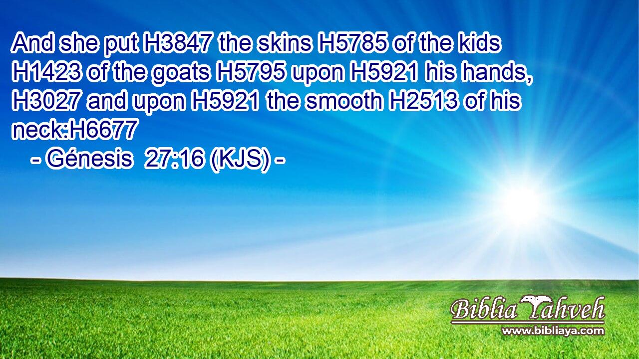 And she put H3847 the skins H5785 of the kids H1423 of the goats H5795 upon H5921 his hands, H3027 and upon H5921 the smooth H2513 of his neck:H6677