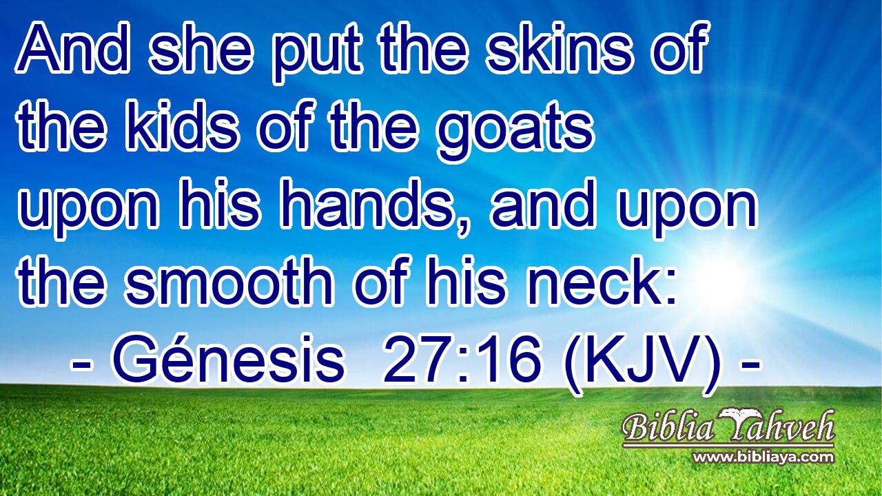 And she put the skins of the kids of the goats upon his hands, and upon the smooth of his neck:
