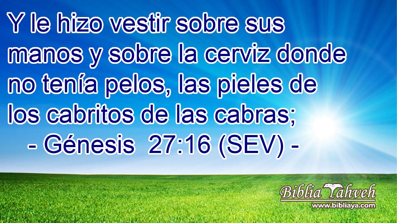 Y le hizo vestir sobre sus manos y sobre la cerviz donde no tenía pelos, las pieles de los cabritos de las cabras;