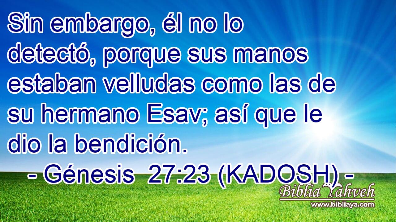  Sin embargo, él no lo detectó, porque sus manos estaban velludas como las de su hermano Esav; así que le dio la bendición. 